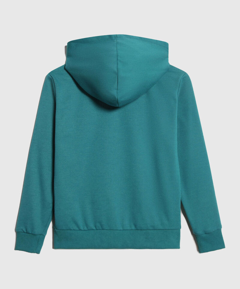Hoodie Bordado Florida, Verde, hi-res
