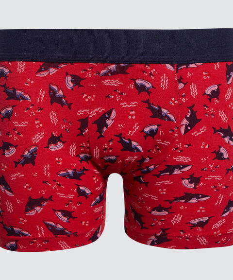 boxer para niño