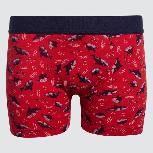 boxer para niño