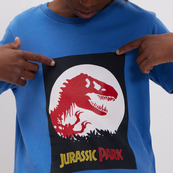 camisetas niño