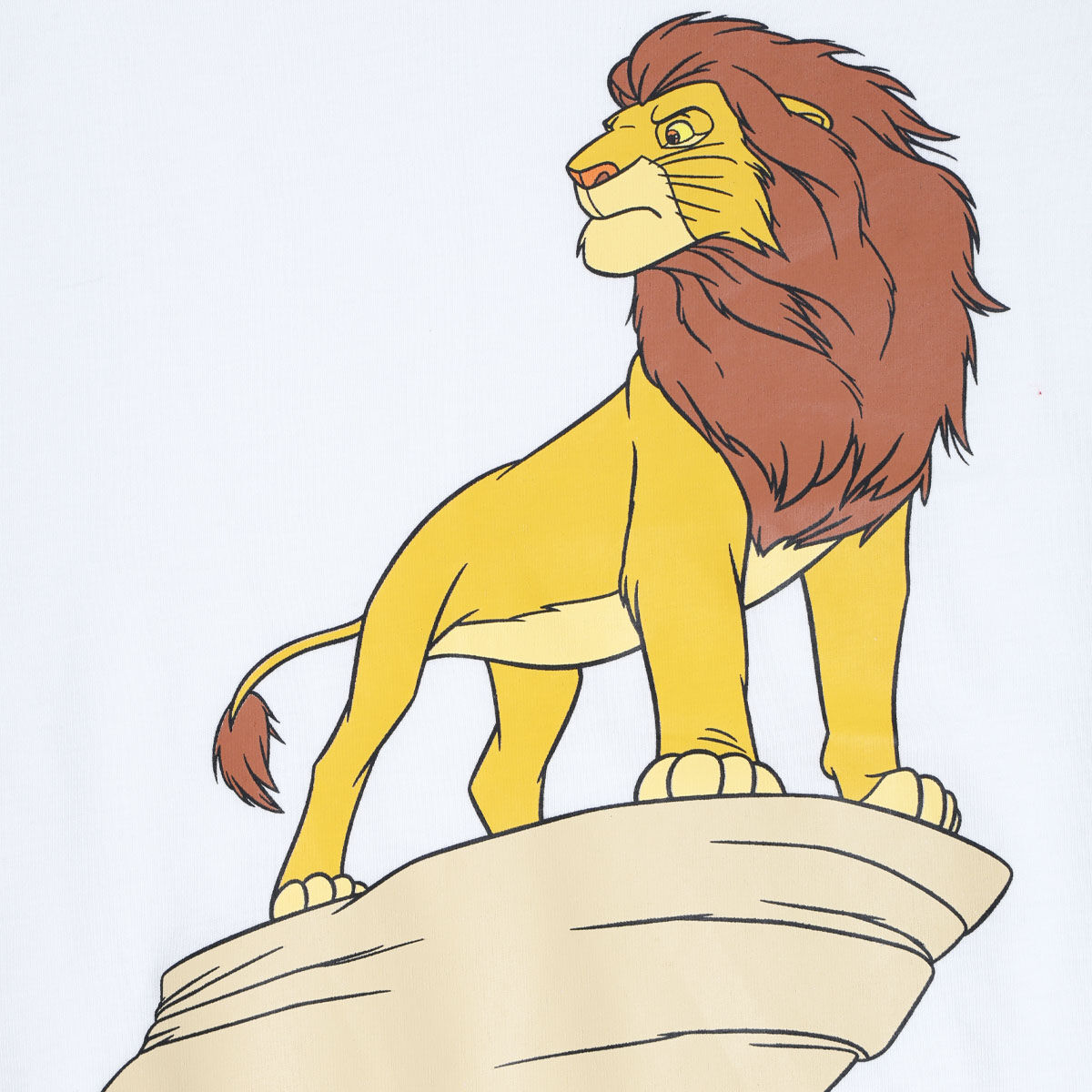 camisetas niño