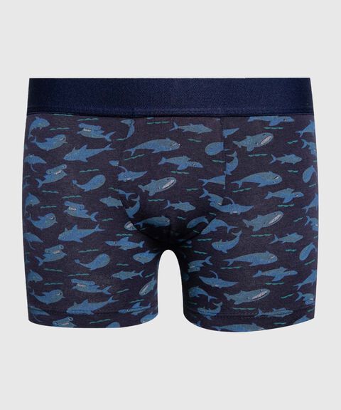 boxer para niño image number null