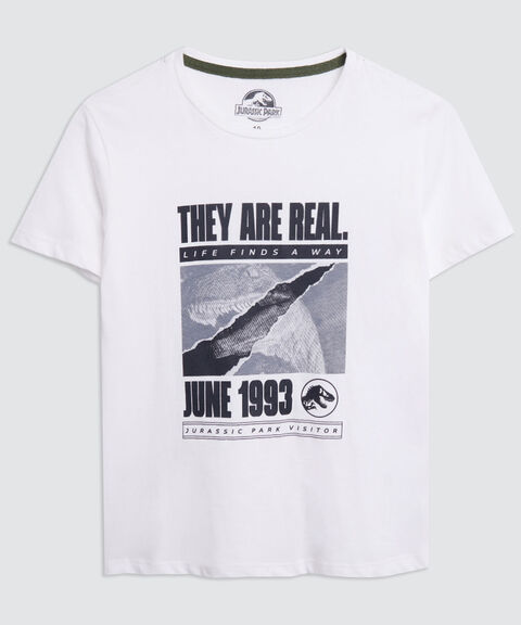 camisetas niño