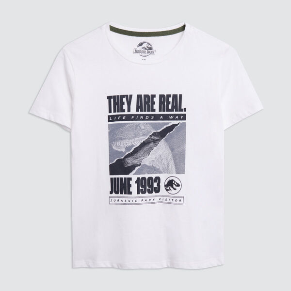 camisetas niño