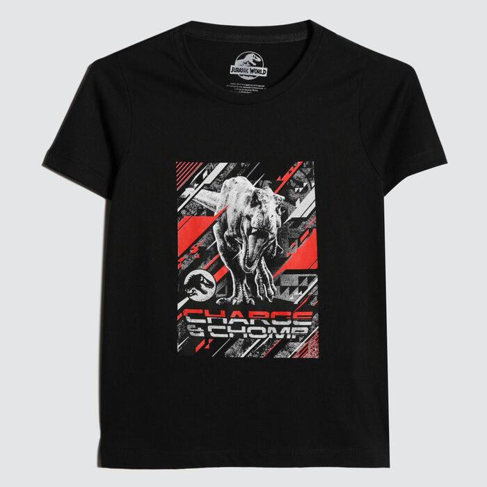 camisetas niño