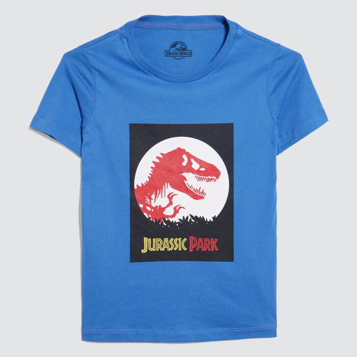 camisetas niño