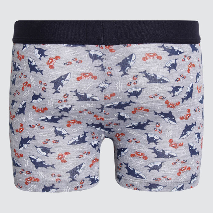 boxer para niño