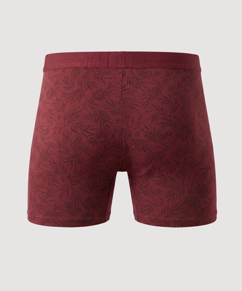 boxers para hombre