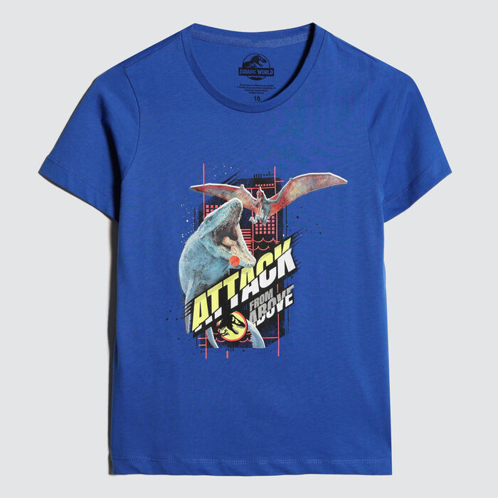 camisetas niño